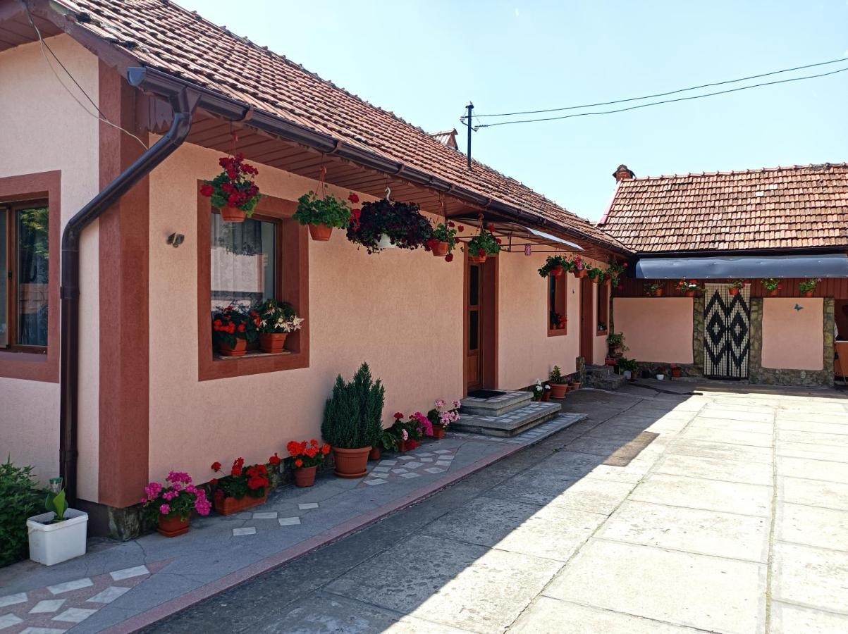 Pensiunea Ileana Novaci-Straini Exterior photo