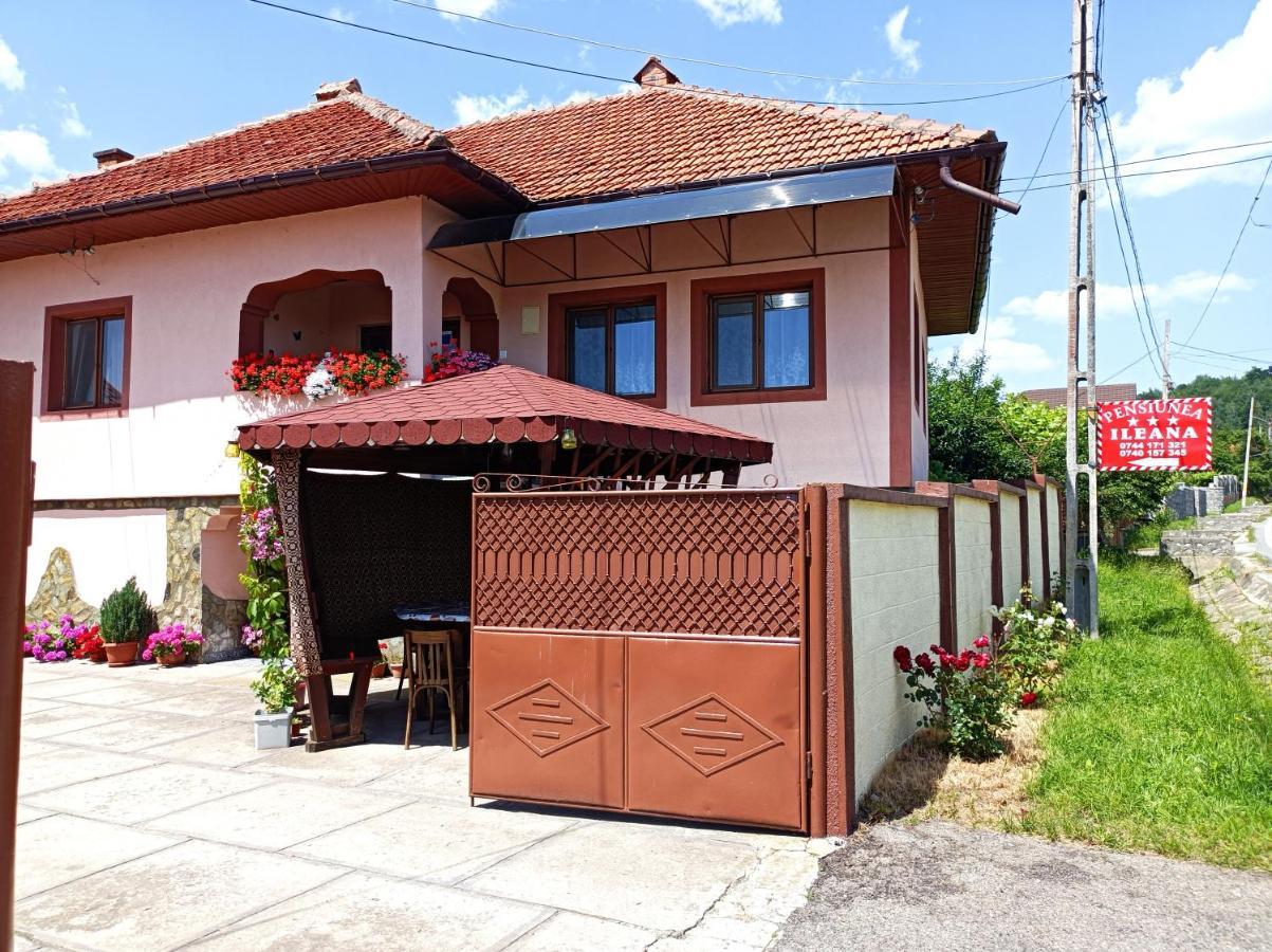 Pensiunea Ileana Novaci-Straini Exterior photo